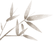 物馆之夜剧本杀活动顺利举办澳门新葡京网页